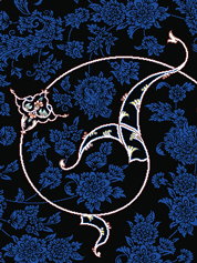 Carpet Design
